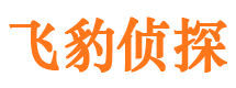 高县寻人公司